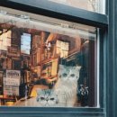 수락 동물병원 이미지