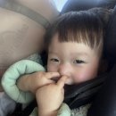 (주)애그리캠 | [여주 캠퍼디] 2박 3일 겨울 캠핑 (17개월 아기 포함한 세가족 캠핑) / 사이트 F4, F5, D6