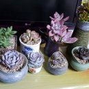 오늘의 아이 이미지