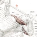 워너짐 반여 이미지