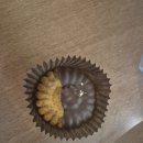 카페떡앤사랑 | 인천 영종도 떡케이크 맛집 대형카페 <시루앤케이크> 방문후기