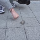 미문농장 이미지