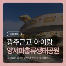 플룻연주여행 | 광주 근교 아이랑 함평 양서 파충류 생태공원 함평 자연 생태공원 실내 및 먹이주기 체험, 수유실 정보