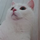 하일룽펜션