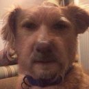 시애틀PC방 | 난 너한테 고봉밥을 퍼 줄 거야