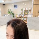 서호농업협동조합 | 미사뿌리펌 잘하는 곳 헤어서호