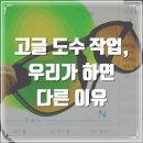 넥스트골프 | [인천 검단] 오클리 서소 골프 선글라스 편광렌즈 도수 넣기, 만족 못 하셨던 분들께