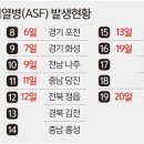 무안농장 네이버블로그