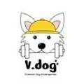브이독(V-dog) 이미지