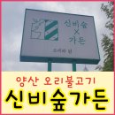 신비가든 이미지