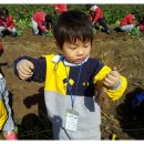 효동농장 이미지