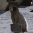방구족발 이미지