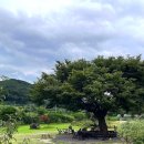 청룡사지길 이미지