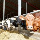 문장축산 이미지