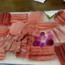 참치정육식당 네이버블로그