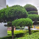 구스웰 | [일양약품] 모스젯 : 뿌리는 모기, 벌레 퇴치제 후기