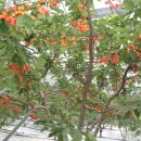 김영종 농장 이미지