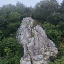 9정맥11차＜36＞낙동6(소호고개~남락고개) 80 km.. 그 길에 나는 서 있다 이미지