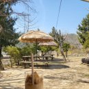 형제농원 이미지