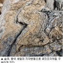 스트로마톨라이트 이미지