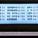 소니가짬뽕 이미지