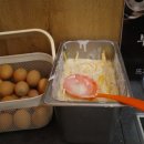 덕동 | 마산 덕동 밥집 추천 / 마산맛집 덕동 황금코다리 플러스 방문후기