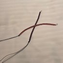 성밖자동차서비스 | 오키오키 오키나와~ 1탄