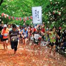 계족산황톳길 이미지