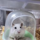 백호목욕탕 이미지