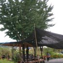 다솜농장 이미지