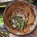 기린07-1 이미지