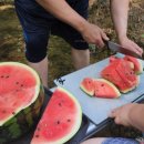 운일암숲펜션 이미지