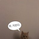 새한광고 이미지