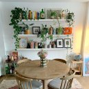 플랜테리어 이미지