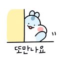 신쿵푸탕후루 월피점 이미지