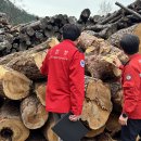 동해-단속-13 이미지