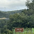 스위트세탁소 | 평창 호텔 | 가족여행으로 추천하는 강원도 애견동반 호텔 | 평창 라마다 호텔 &amp; 스위트