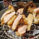 계고기집 이미지