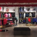 홀릭코리아 이미지