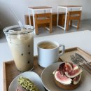마닐드라 | 시작! (시드니 핫한 bar 방문기, 기차에서 캐리어 부서진 썰, 다시 돌아온 애증의 그레인(a.k.a 마닐드라))