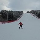 용평 숏스키 타봤습니다 이미지