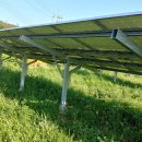 넝쿨 태양광발전소 이미지