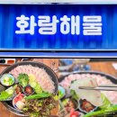 서울 마포역 맛집 회가 쫀득한 횟집 화랑해물