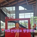 녹화 | 이호선상담소 방청 리얼 후기! 녹화 시간, 방청 후기, 방청 경쟁률 총정리