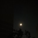 달밤 이미지