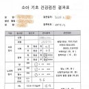 꽃무지풀무지유치원 이미지