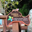 기동민박 이미지