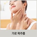 주름집