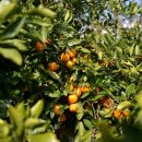 위미 필하우스 이미지