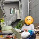 징검다리 이미지